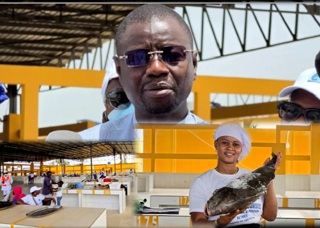 Thiès : Le marché central aux poissons peine encore à décoller malgré ses ambitions de modernisation
