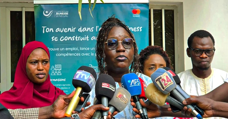 Thiès : Yaakaar mise sur l’agriculture pour lutter contre le chômage des jeunes