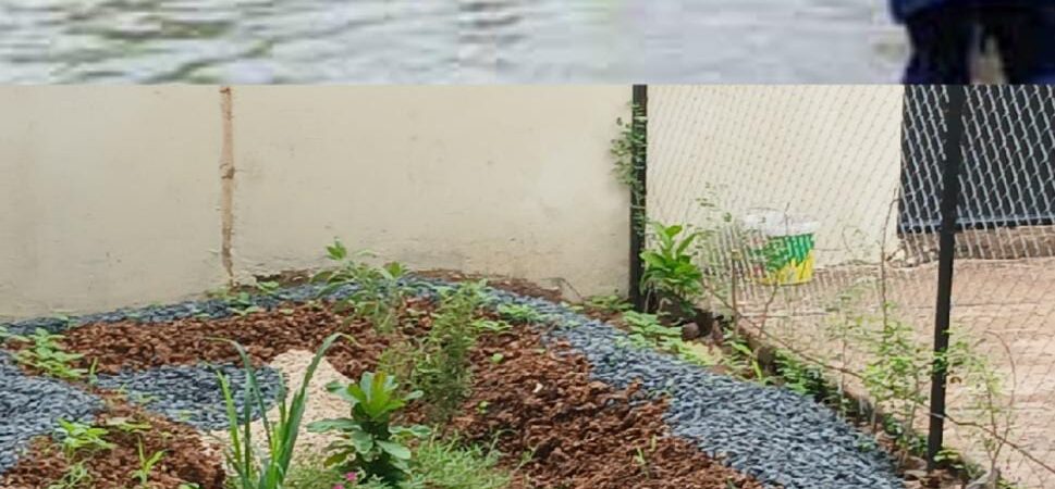 À Thiès, les solutions fondées sur la nature prennent le relais dans la lutte contre les inondations