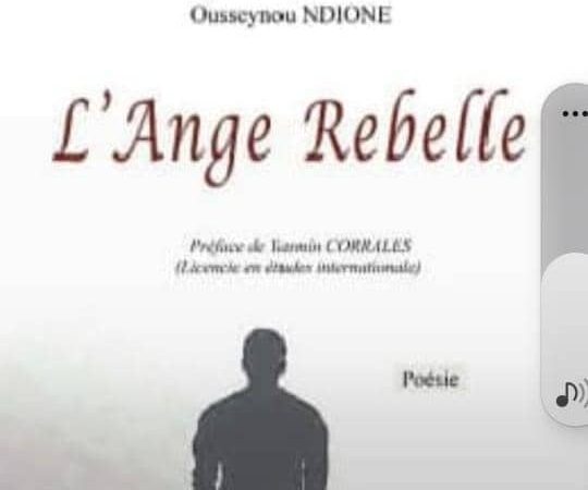 Le regard critique et poétique de Babacar Diop sur « L’Ange rebelle »