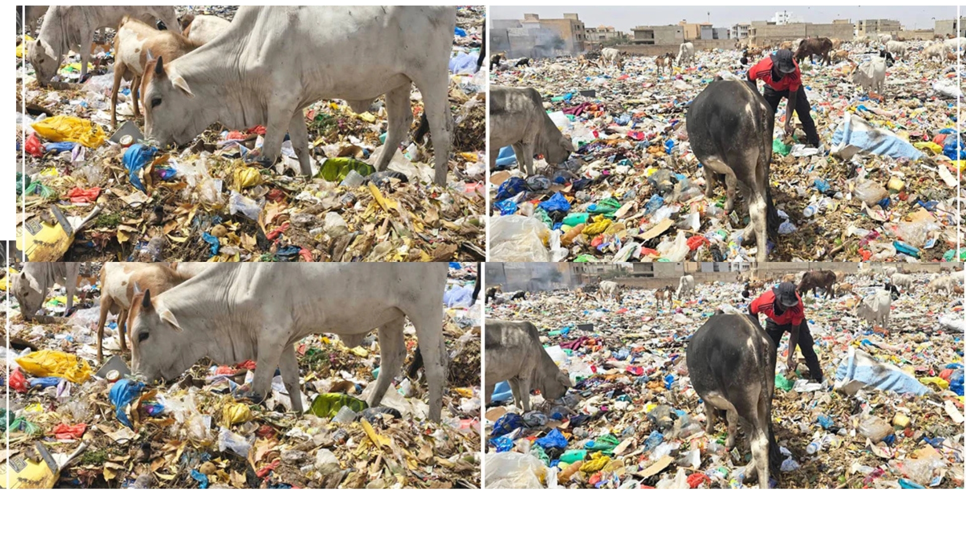 DÉCHETS À THIÈS : LA DÉCHARGE DE KEUR MASSAMBA GUEYE AU CŒUR DE L’URGENCE