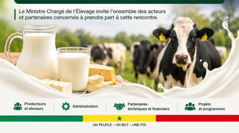 Souveraineté alimentaire : le Sénégal veut doubler sa production de lait local d’ici 2030